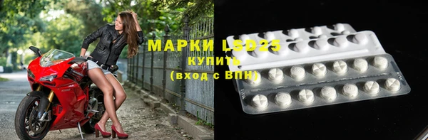 шишки Новодвинск