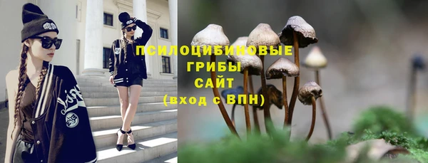 MDMA Новозыбков