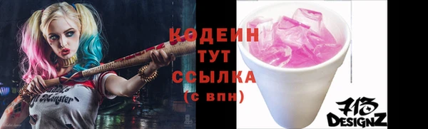 шишки Новодвинск