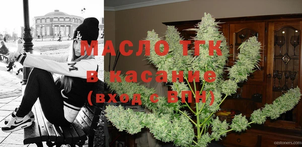 шишки Новодвинск