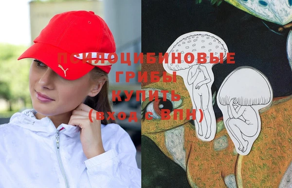 MDMA Новозыбков