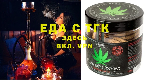 шишки Новодвинск