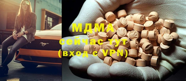 шишки Новодвинск