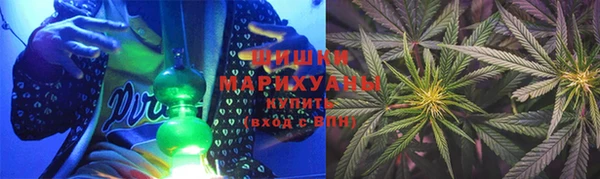 шишки Новодвинск