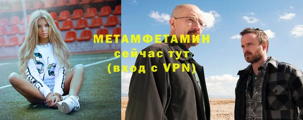 шишки Новодвинск