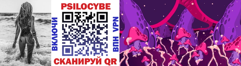 купить наркоту  площадка наркотические препараты  Галлюциногенные грибы Psilocybe  Хотьково 